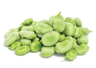 Broad Beans