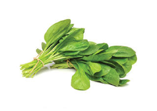 Spinach Leaves